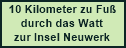 Zu Fuß durchs Watt zur Insel Neuwerk