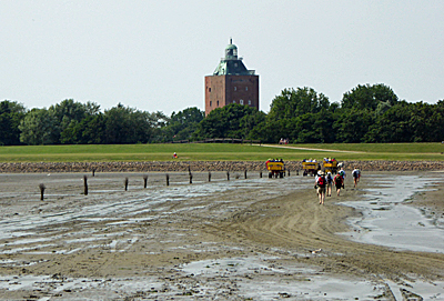 wattwagen neuwerk bild 03 wattwagen neuwerk bild 03